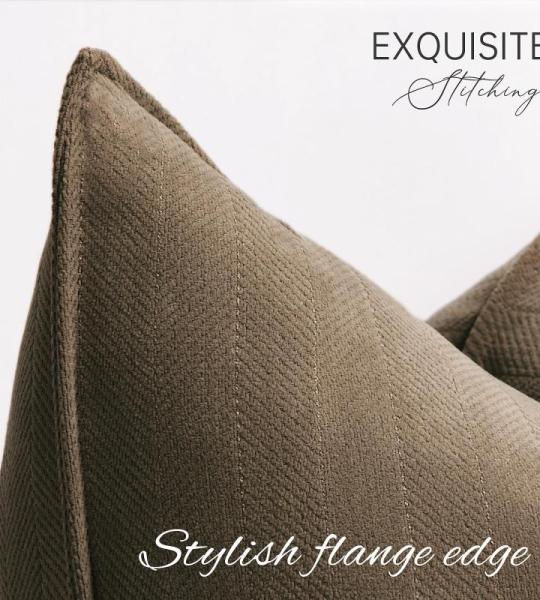 Sofa Set van 2 Chenille Sofa Kussens met Elegant Design, Zacht en Luxe Decoratief Kussen voor Sofa, Bed en Woondecoratie